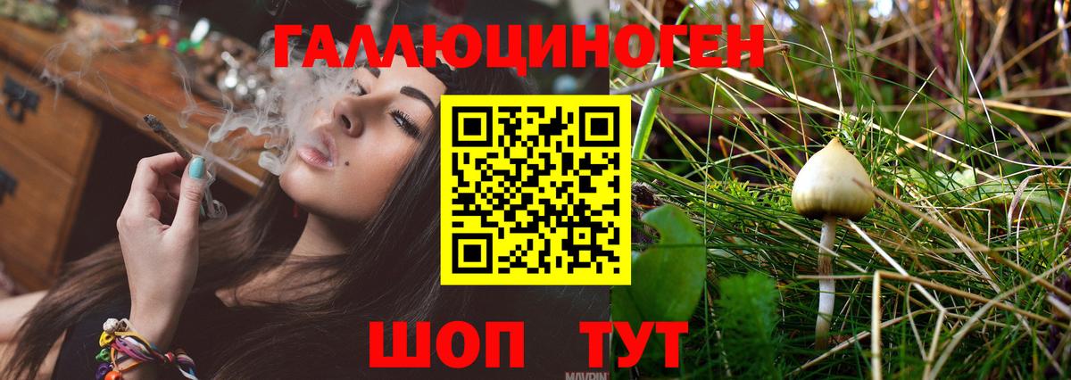 Кушва  Галлюциногенные грибы Cubensis  Вход с VPN 